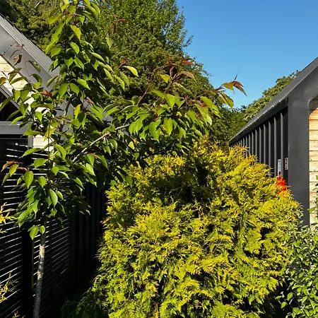 Trzy W Mielnie ミエルノ