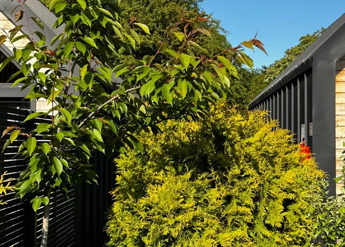 Trzy W Mielnie Mielno (Koszalin)